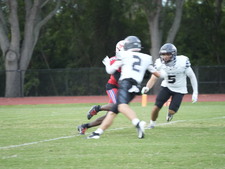 Enlarge photo 147