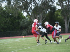 Enlarge photo 218