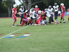 Enlarge photo 225