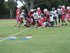 Enlarge photo 229