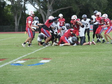 Enlarge photo 230