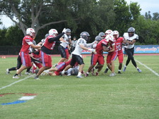 Enlarge photo 233