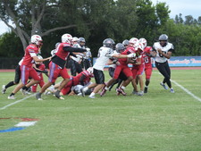 Enlarge photo 235