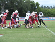 Enlarge photo 236