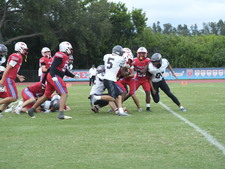 Enlarge photo 237
