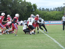 Enlarge photo 238