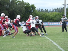 Enlarge photo 239