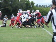 Enlarge photo 244
