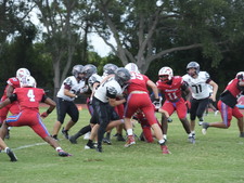 Enlarge photo 262