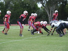 Enlarge photo 266