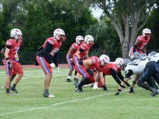 Enlarge photo 265
