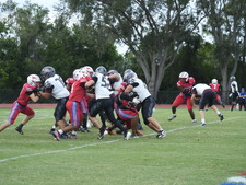 Enlarge photo 267