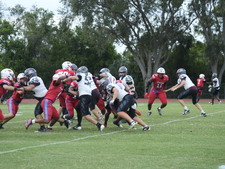 Enlarge photo 270