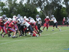 Enlarge photo 272