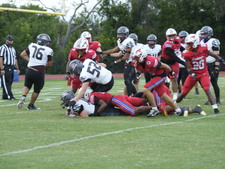 Enlarge photo 275
