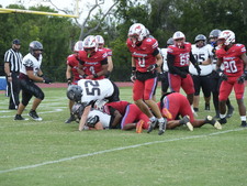 Enlarge photo 278