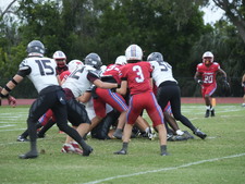 Enlarge photo 290