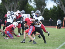 Enlarge photo 309