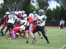 Enlarge photo 310