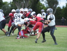 Enlarge photo 312