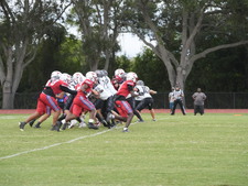 Enlarge photo 316
