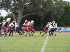 Enlarge photo 326
