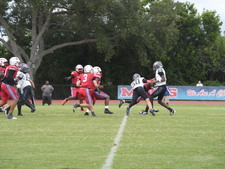 Enlarge photo 328
