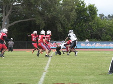 Enlarge photo 329