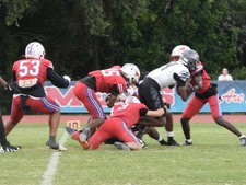 Enlarge photo 335