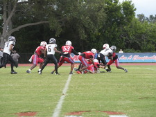 Enlarge photo 337