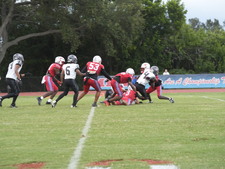 Enlarge photo 338