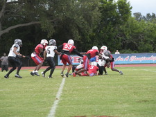 Enlarge photo 339