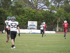Enlarge photo 423