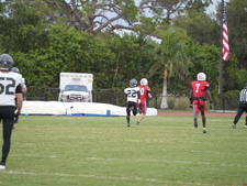 Enlarge photo 427