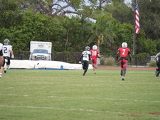 Enlarge photo 428