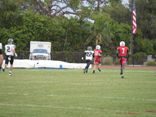 Enlarge photo 429