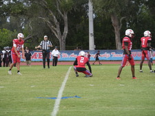 Enlarge photo 442