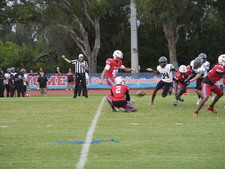 Enlarge photo 452