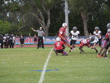 Enlarge photo 454