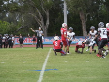 Enlarge photo 455
