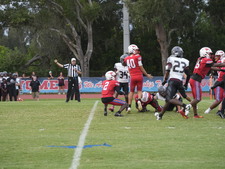 Enlarge photo 457