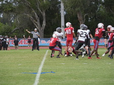 Enlarge photo 458