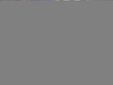 Enlarge photo 506