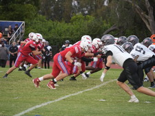 Enlarge photo 522