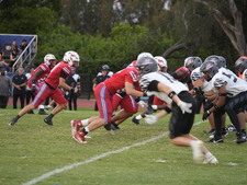 Enlarge photo 523