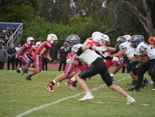Enlarge photo 524