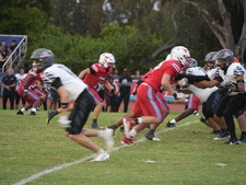 Enlarge photo 526