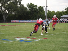 Enlarge photo 533