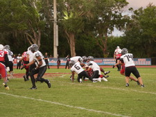 Enlarge photo 587