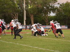 Enlarge photo 588